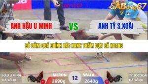 TRẬN 12 XÀ XÍA 24/1/2026