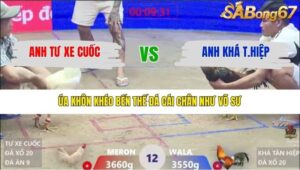 TRẬN 12 XÀ XÍA 30/1/2026