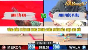 TRẬN 13 CPC3 25/1/2026