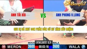 TRẬN 13 CPC3 29/1/2026