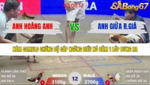 TRẬN 13 XÀ XÍA 19/1/2026