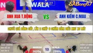 TRẬN 13 XÀ XÍA 21/1/2026