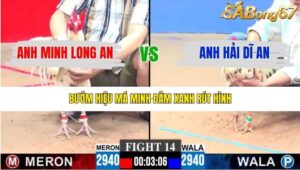 TRẬN 14 CPC3 18/1/2026