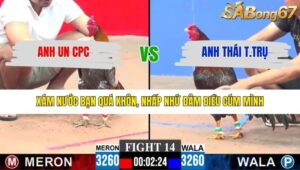 TRẬN 14 CPC3 25/1/2026