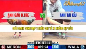 TRẬN 14 CPC3 4/1/2026