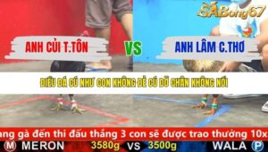 TRẬN 14 CPC5 24/1/2026