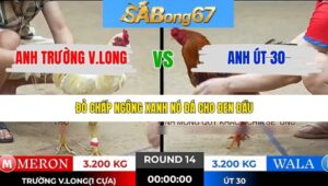 TRẬN 14 TONHON 16/1/2026