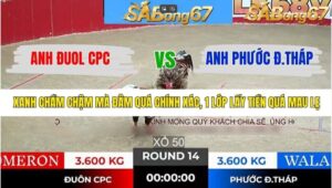 TRẬN 14 TONHON 21/1/2026