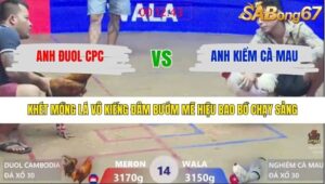 TRẬN 14 XÀ XÍA 29/1/2026