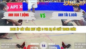 TRẬN 14 XÀ XÍA 30/1/2026