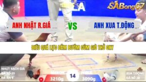 TRẬN 14 XÀ XÍA 9/1/2026