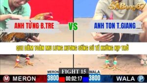 TRẬN 15 CPC3 11/1/2026