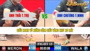 TRẬN 15 CPC3 25/1/2026