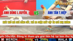 TRẬN 15 CPC5 24/1/2026