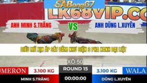 TRẬN 15 TONHON 28/1/2026