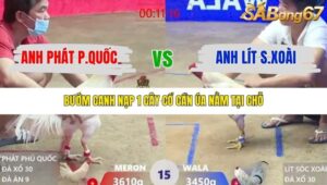 TRẬN 15 XÀ XÍA 24/1/2026