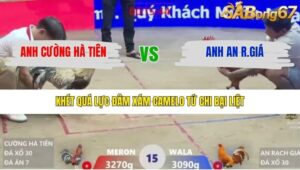 TRẬN 15 XÀ XÍA 26/1/2026