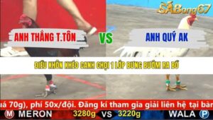 TRẬN 16 CPC5 24/1/2026