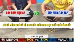 TRẬN 16 CPC5 28/1/2026