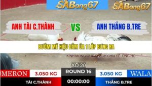 TRẬN 16 TONHON 20/1/2026