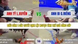 TRẬN 16 XÀ XÍA 19/1/2026