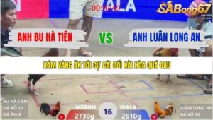 TRẬN 16 XÀ XÍA 21/1/2026