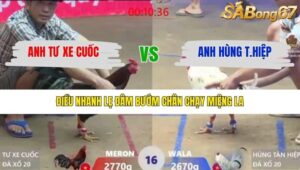 TRẬN 16 XÀ XÍA 26/1/2026