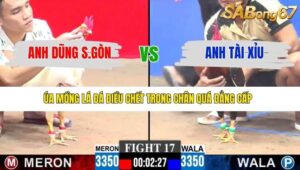 TRẬN 17 CPC3 11/1/2026