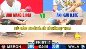 TRẬN 17 CPC3 18/1/2026