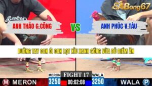 TRẬN 17 CPC3 25/1/2026