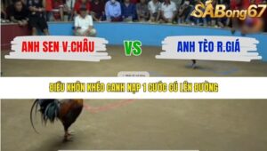 TRẬN 17 THƯỜNG PHƯỚC 17/1/2026