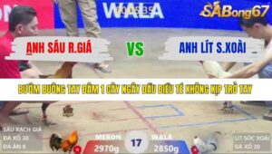 TRẬN 17 XÀ XÍA 12/1/2026