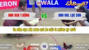 TRẬN 18 XÀ XÍA 26/1/2026