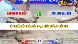 TRẬN 17 XÀ XÍA 30/1/2026