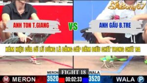 TRẬN 18 CPC3 25/1/2026