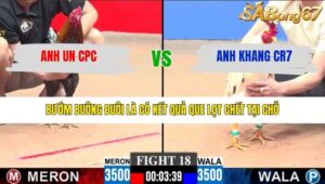 TRẬN 18 CPC3 27/1/2026