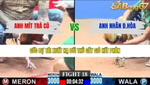 TRẬN 18 CPC3 29/1/2026