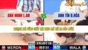 TRẬN 18 CPC3 8/1/2026