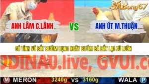 TRẬN 18 CPC5 13/1/2026