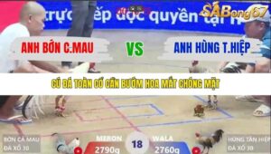 TRẬN 18 XÀ XÍA 24/1/2026