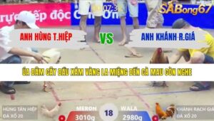 TRẬN 18 XÀ XÍA 30/1/2026