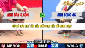 TRẬN 19 CPC3 23/1/2026