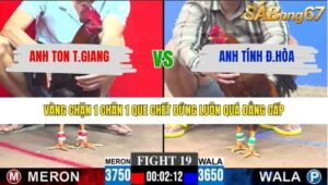 TRẬN 19 CPC3 29/1/2026