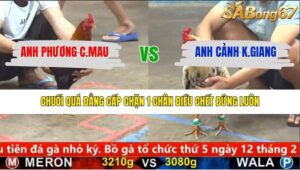 TRẬN 19 CPC5 30/1/2026