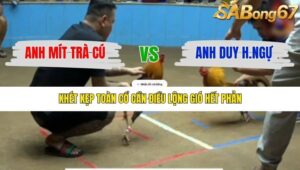 TRẬN 19 THƯỜNG PHƯỚC 17/1/2026