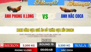 TRẬN 19 TONHON 7/1/2026