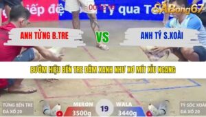 TRẬN 19 XÀ XÍA 30/1/2026