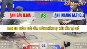 TRẬN 2 XÀ XÍA 12/1/2026