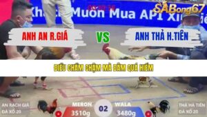 TRẬN 2 XÀ XÍA 17/1/2026