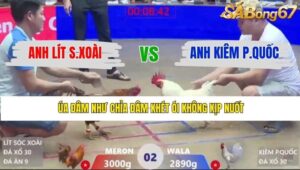 TRẬN 2 XÀ XÍA 20/1/2026